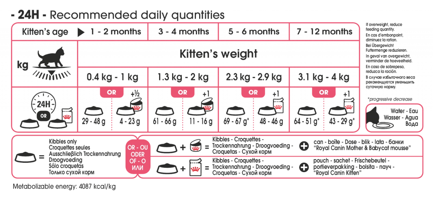 Royal Canin Chaton - 4Kg 2 Royal Canin Chaton - 4Kg – Image 2