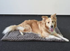 Flamingo Coussin Cuddly Plat Rectangulaire Taupe 85,5x51x2cm -Éco Pattes a4786eba1a7de2cc9ddc5f3f610a55677acd27983c0428209d2a3e502232cc72 scaled