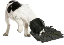 Flamingo Tapis à Renifler Amigo Rectangulaire + Fermeture Eclair Gris/vert 40x50cm -Éco Pattes a775a03a816b5a96e49c58cd3ecbc26540a84574cd16c3ba95abf6994148d0f2 scaled