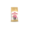 Royal Canin Chat Persan Chatton 10kg