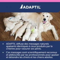 Adaptil Junior Collier (46,5cm) -Éco Pattes adaptil collier junior 6 FR