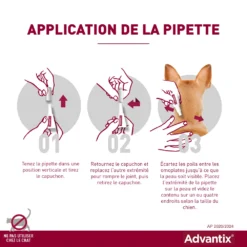 Advantix Petit Chien 4-10Kg -Éco Pattes advantix application de la pipette 1