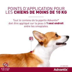 Advantix Petit Chien 4-10Kg -Éco Pattes advantix point d application