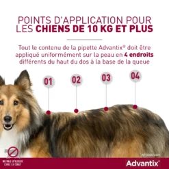 Bayer Advantix Grand Chien 25-40Kg 10 Bayer Advantix Grand Chien 25-40Kg -Éco Pattes advantix point d application grands chiens 1