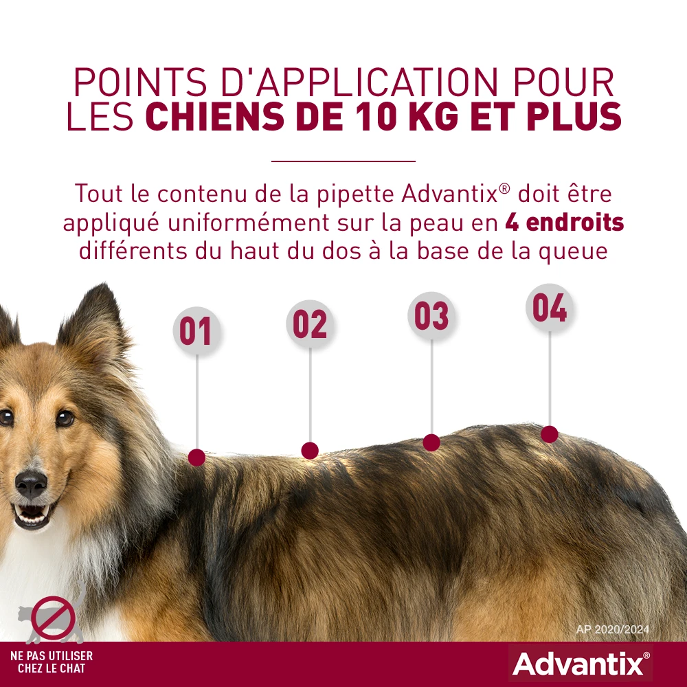Bayer Advantix Grand Chien 25-40Kg 4 Bayer Advantix Grand Chien 25-40Kg – Image 4