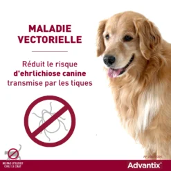 Bayer Advantix Grand Chien 25-40Kg 12 Bayer Advantix Grand Chien 25-40Kg -Éco Pattes advantix r duit le risque de maladies vectorielles