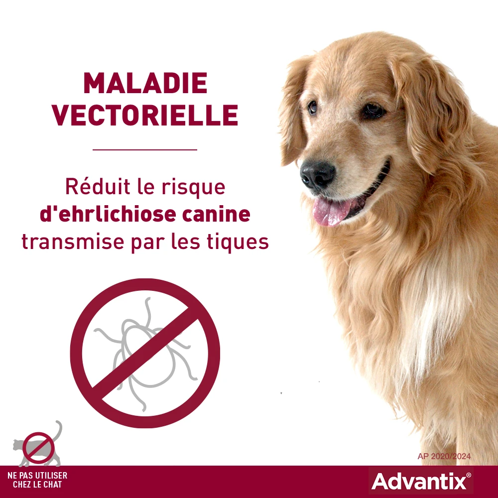 Bayer Advantix Grand Chien 25-40Kg 6 Bayer Advantix Grand Chien 25-40Kg – Image 6
