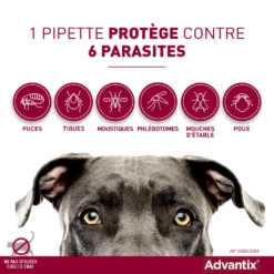 Bayer Advantix Grand Chien 25-40Kg 9 Bayer Advantix Grand Chien 25-40Kg -Éco Pattes advantix spectre de protection 1 1