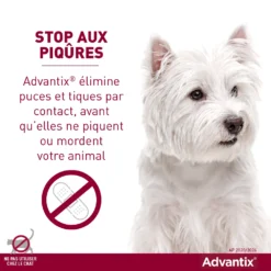 Produits populaires -Éco Pattes advantix stop aux piq res