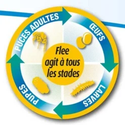 Flee Aerosol 400ml -Éco Pattes aerosol flee 400 ml 2