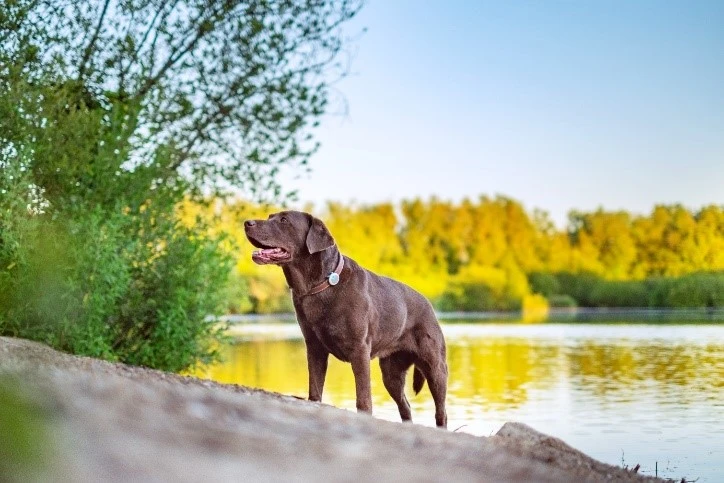 Animo Tracker D'activités 6 Animo Tracker D'activités – Image 6