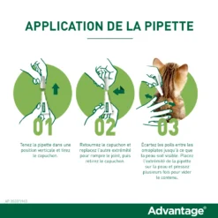 Advantage 80 Chat Et Lapin De Plus De 4 Kg -Éco Pattes application de la pipette advantage