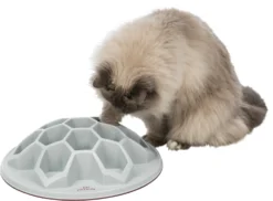 Trixie Jeu Pour ChatSnack Hive XXL Ø 35 Cm -Éco Pattes b6e3cce409f40e966271fa2105510ff9da786b6efde0970d26d539691d01c24e