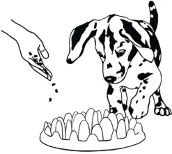 Flamingo Gamelle Anti-glouton Northmate Green Mini 29x22,5x7cm -Éco Pattes b74acb27fc8671dd3a6a347beb8b4d678a9f6bea25d7cfd99894003e8e580dae