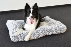 Flamingo Coussin Snoozzy Rectangulaire Gris/noir 80x55x10cm 5 Flamingo Coussin Snoozzy Rectangulaire Gris/noir 80x55x10cm -Éco Pattes bb7527f4c676d26b4ea8f39e1c369c3a6e72382d8c29eecd6845566bf571d769 scaled