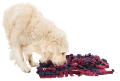Trixie Jeu De Stratégie Pour Chien Sniffing Mat 50 X 34 Cm -Éco Pattes c59c8b845725ca45ac9d7f5ebdca44e77c631105d50a61d01ba334cef3a13f0e