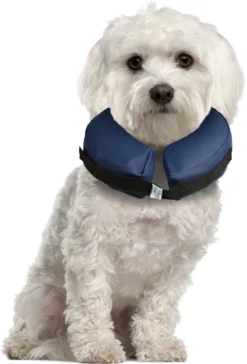 Flamingo Collier Gonflable Pour Chiens Gofi S -Éco Pattes c76564a084433e164fdda469521c2f8b95e5c504b608d8280deab069721e7d8e