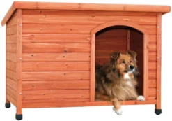 Flamingo Niche Chien Plano 104x70x66cm 5 Flamingo Niche Chien Plano 104x70x66cm -Éco Pattes c81e97fca8d50b156012e5954aa46a87e0e6b824e3220a124189da48c2d03614 scaled
