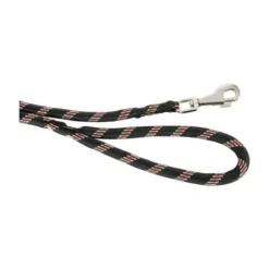 Laisse Corde Nylon Zolux