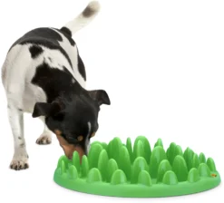 Flamingo Gamelle Anti-glouton Northmate Green Vert 40x30x10cm -Éco Pattes ca21cf77c020913a229f12bbf00744c386edd36c219b18ff30946abedd6b8831 scaled