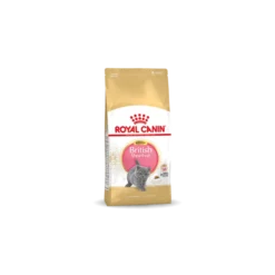 Royal Canin Britisch Shorthair Chatton 10kg