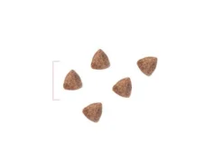 ROYAL CANIN PEDIATRIC STARTER DOG - 12 Kg 5 ROYAL CANIN PEDIATRIC STARTER DOG - 12 Kg -Éco Pattes croquettes starter