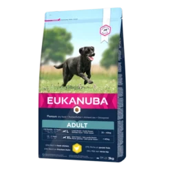 Eukanuba Adult Large Breed Pour Chien 15kg