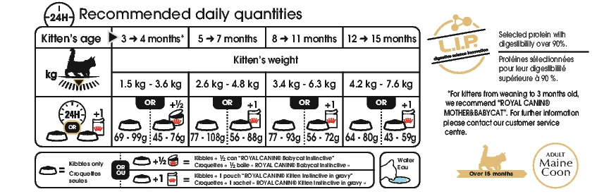 Royal Canin Maine Coon Chaton Pour Chat 10kg 2 Royal Canin Maine Coon Chaton Pour Chat 10kg – Image 2