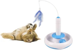 Flamingo Jouet Chat Plaque Plume Et Balle 20x20x29cm -Éco Pattes db06781d259681adcff930796dd8693f468ed92b271df0abda27e42cd76a2c40 scaled