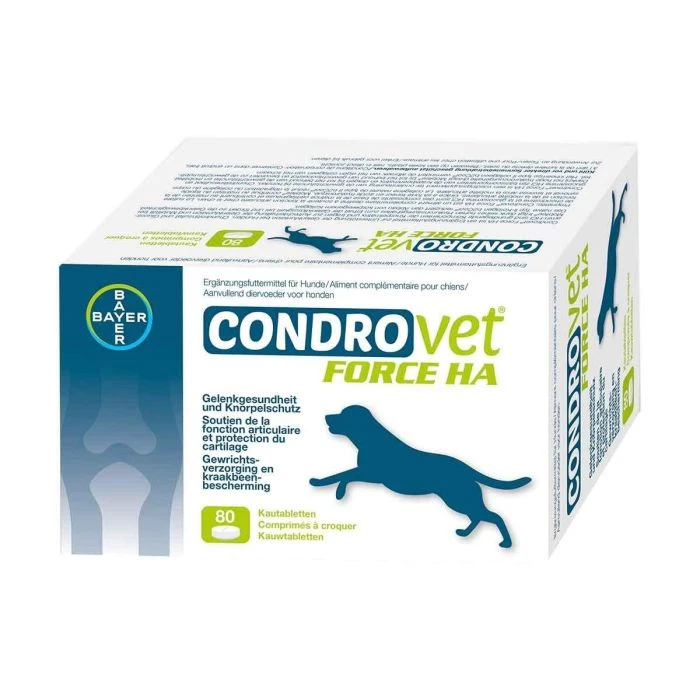Condrovet Chien 1 Condrovet Chien
