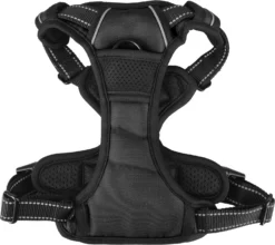 Flamingo Harnais Balou Noir M 50-65cm 25mm -Éco Pattes db74bc593781bbe2b1c5e052c0c8b2d59ac32999242552d436385f3178c11370