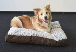 Flamingo Coussin Snoozzy Rectangulaire Fermeture Eclair Brun 80x55x10cm 5 Flamingo Coussin Snoozzy Rectangulaire Fermeture Eclair Brun 80x55x10cm -Éco Pattes ddebe20b0518f8cb1ab97d70c10ffd70611da800dd60a449d444ba58ea18165f scaled