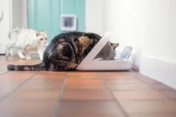 Sureflap Distributeur De Nourriture Connect Surefeed -Éco Pattes distributeur de nourriture connect surefeed 6