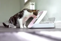 Sureflap Distributeur De Nourriture Connect Surefeed -Éco Pattes distributeur de nourriture connect surefeed 9