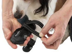 Trixie Chaussures De Protection Walker Active / M-L 2pcs. -Éco Pattes e08062450bd8a32b408258fb4c31ff7f7447657b0f4f3fa1ecca0f8550d45313 2