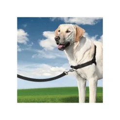 PetSafe Harnais Easy Walk -Éco Pattes eb4fdb80c2f8d99ea26df9f6cdeca2a83a50e5994c3be22754a3f4f6b468f993