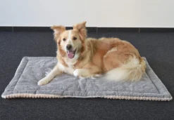 Flamingo Coussin Zupo Plat Rectangulaire Gris 100,5x63x2cm 9 Flamingo Coussin Zupo Plat Rectangulaire Gris 100,5x63x2cm -Éco Pattes ed981943eaed3c8161e97a32c795c87794e26981df13a2dc04c0858f21b9fedd scaled