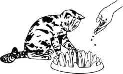 Flamingo Gamelle Anti-glouton Northmate Catch 27x23x8cm Violet -Éco Pattes edc72a656a40ed0f4f4be75cc91ef98d23cf8175636af623d70d9fdbaf48c07a