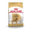 Royal Canin Golden Retriever Adult Pour Chien 12kg