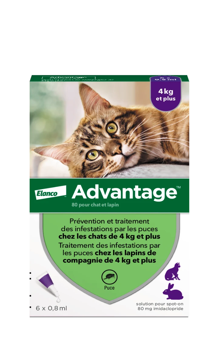 Advantage 80 Chat Et Lapin De Plus De 4 Kg – Image 2