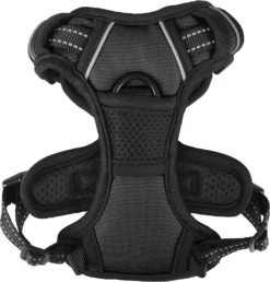 Flamingo Harnais Balou Noir XS 30-45cm 15mm -Éco Pattes f1c4025eaddcec509c183d98ac677ea3557627f4064b08069b40016ebd40100b