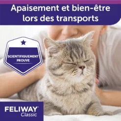 Feliway Spray 20ml -Éco Pattes feliway spray 20ml 4 FR