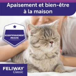 Feliway F3 Spray 60 Ml -Éco Pattes feliway spray 60ml 4 FR