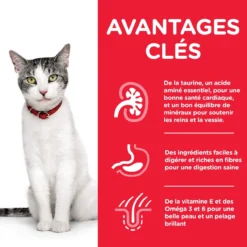 Hill's Science Plan Senior 11+ Croquettes Pour Chat Mature Au Poulet 3Kg -Éco Pattes hills science plan chat senior 11 poulet3