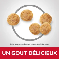 Hill's Science Plan Senior 11+ Croquettes Pour Chat Mature Au Poulet 3Kg -Éco Pattes hills science plan chat senior 11 poulet4