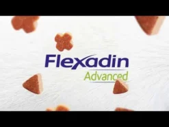 Flexadin Advanced Original 60 Bouchées -Éco Pattes hqdefault 10 2