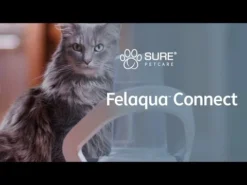 Brand Distributeur D'eau Connect Felaqua -Éco Pattes hqdefault 10 4