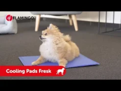 Flamingo Tapis Rafraichissant Fresk - Xl (100x60cm) -Éco Pattes hqdefault 5 3