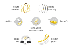 ZYLKENE 75MG (CHATS ET CHIENS DE MOINS DE 10KG) 30 GÉLULES -Éco Pattes ikony en