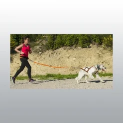 Laisse De Traction Canicross One I-Dog -Éco Pattes laisse traction idog2